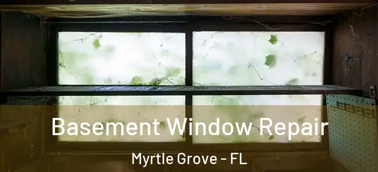 Basement Window Repair Myrtle Grove - FL