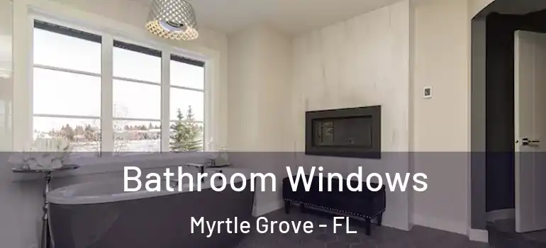 Bathroom Windows Myrtle Grove - FL