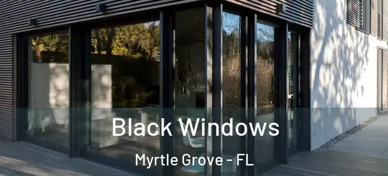 Black Windows Myrtle Grove - FL