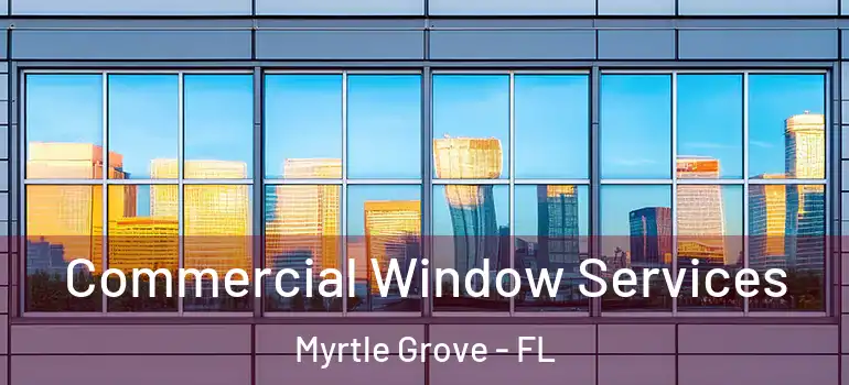 Commercial Window Services Myrtle Grove - FL