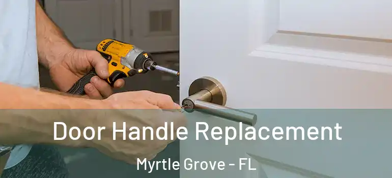Door Handle Replacement Myrtle Grove - FL