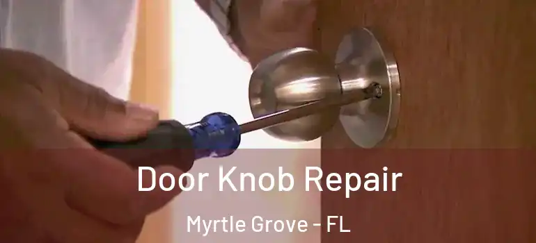 Door Knob Repair Myrtle Grove - FL