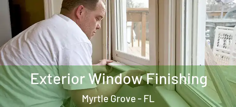  Exterior Window Finishing Myrtle Grove - FL