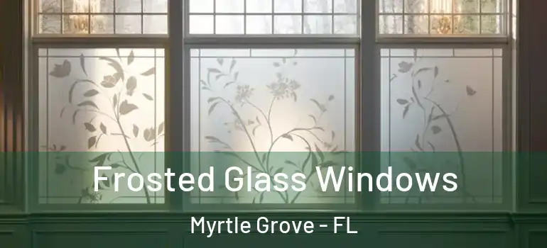 Frosted Glass Windows Myrtle Grove - FL