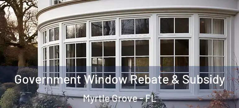 Government Window Rebate & Subsidy Myrtle Grove - FL