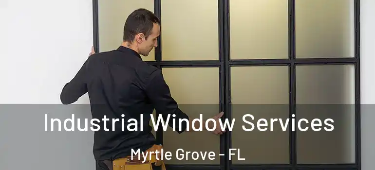 Industrial Window Services Myrtle Grove - FL