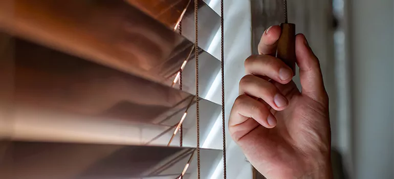 Double Roller Blinds in Myrtle Grove, FL