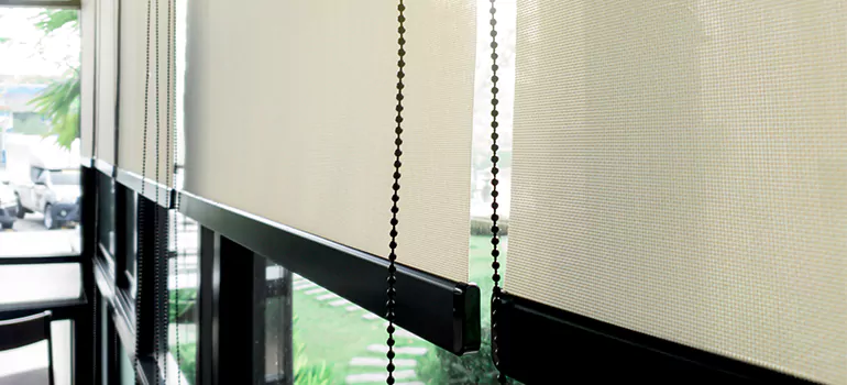 Blackout Window Shades in Myrtle Grove, FL