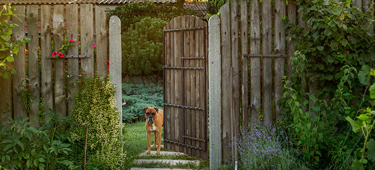 Winter Garden Garage Door Repair in Myrtle Grove,[location field=state]
