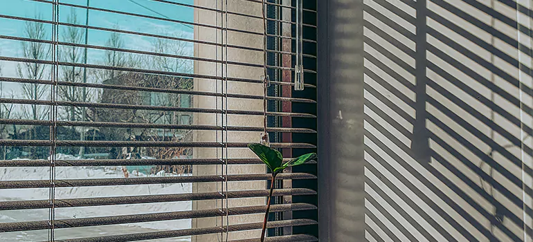 Commercial Window Blinds in Myrtle Grove, FL