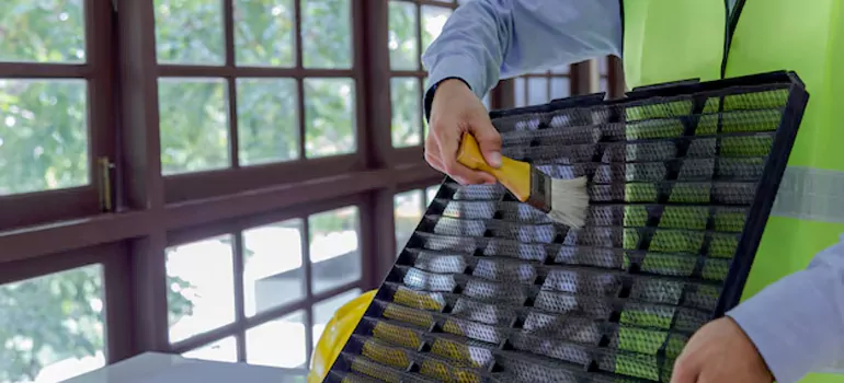 Traditional Window Grille Installation Options in Myrtle Grove, FL