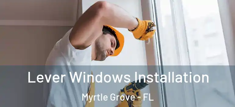 Lever Windows Installation Myrtle Grove - FL