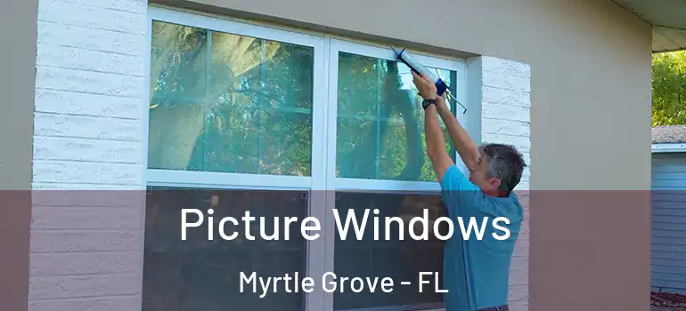 Picture Windows Myrtle Grove - FL
