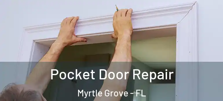 Pocket Door Repair Myrtle Grove - FL