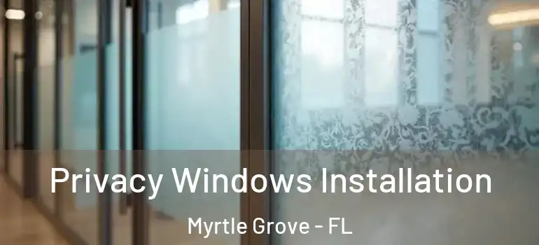 Privacy Windows Installation Myrtle Grove - FL