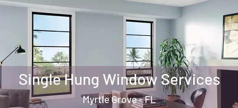 Single Hung Window Services Myrtle Grove - FL