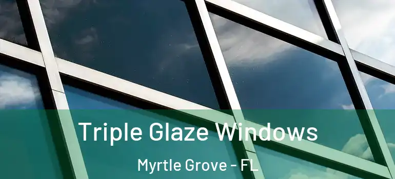 Triple Glaze Windows Myrtle Grove - FL