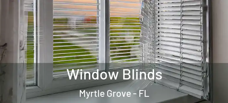 Window Blinds Myrtle Grove - FL