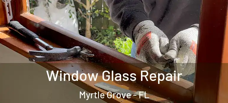 Window Glass Repair Myrtle Grove - FL