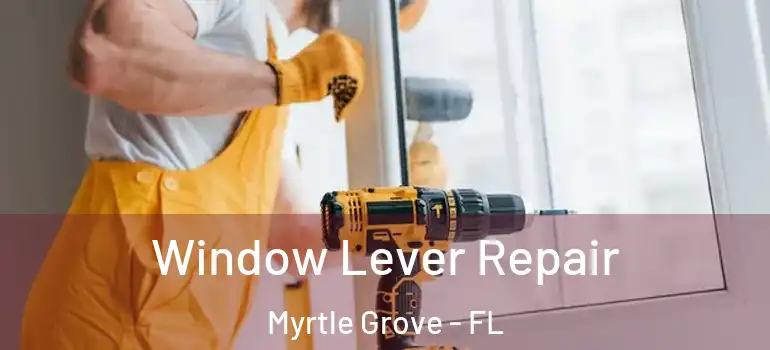 Window Lever Repair Myrtle Grove - FL