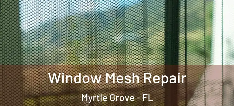Window Mesh Repair Myrtle Grove - FL