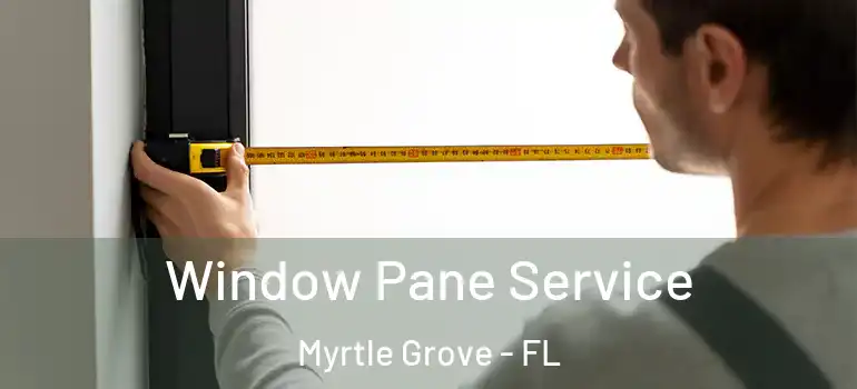 Window Pane Service Myrtle Grove - FL