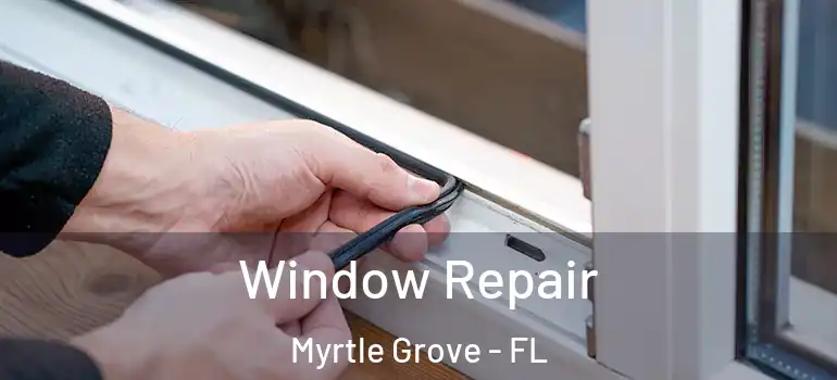  Window Repair Myrtle Grove - FL
