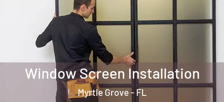 Window Screen Installation Myrtle Grove - FL